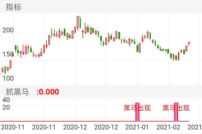 新洁能 SH605111 2020-11-02~2021-02-19