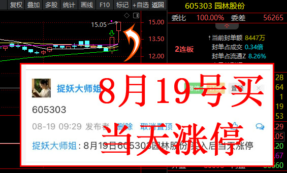 8月19买入，后面2个涨停！