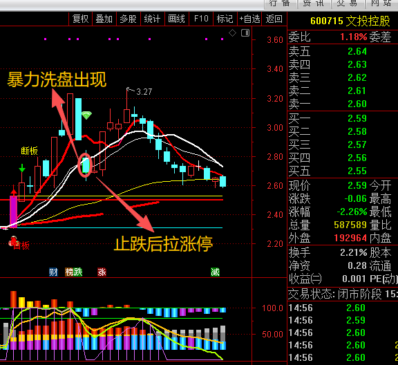 横盘后拉上影线止跌，次日涨停
