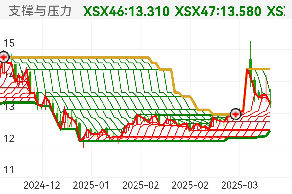 华森制药 SZ002907 2024-12-11~2025-03-31