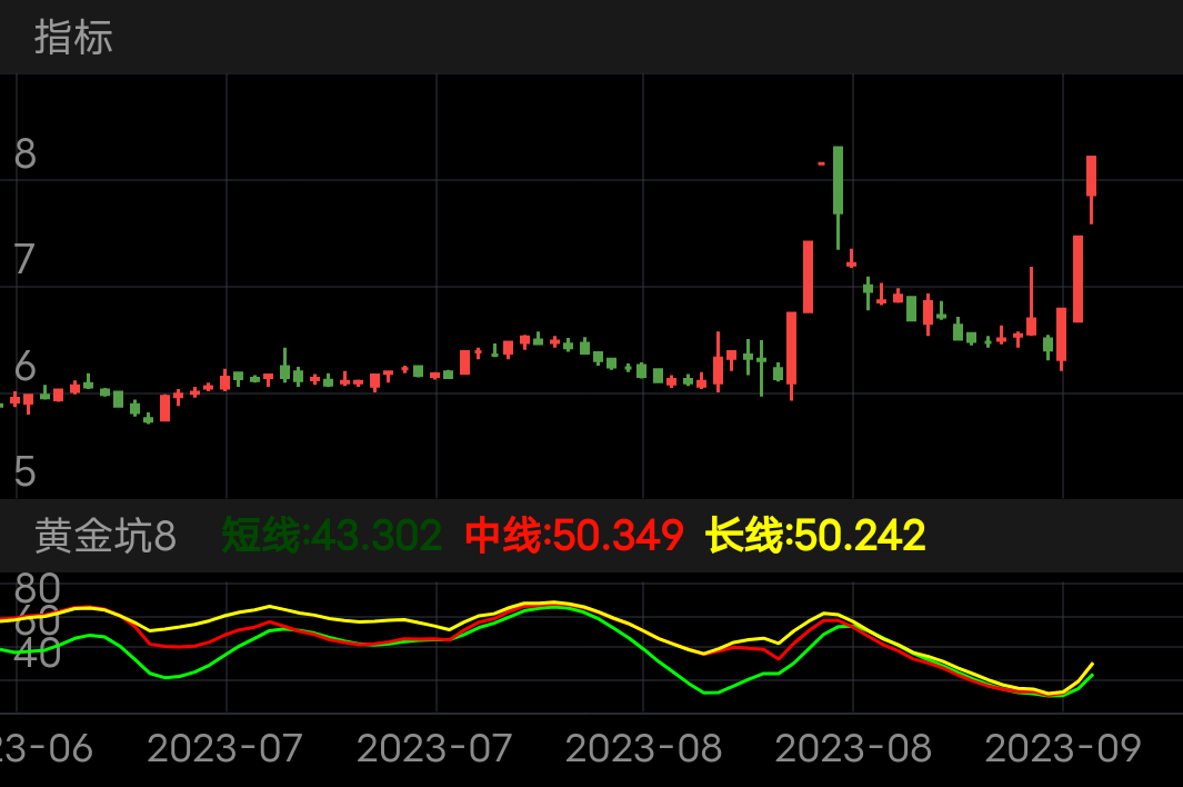 罗普斯金 SZ002333 2023-06-08~2023-09-21