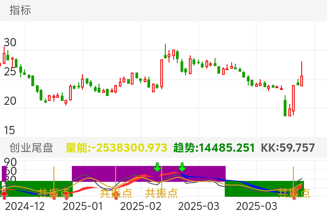 国民技术 SZ300077 2024-12-19~2025-04-11