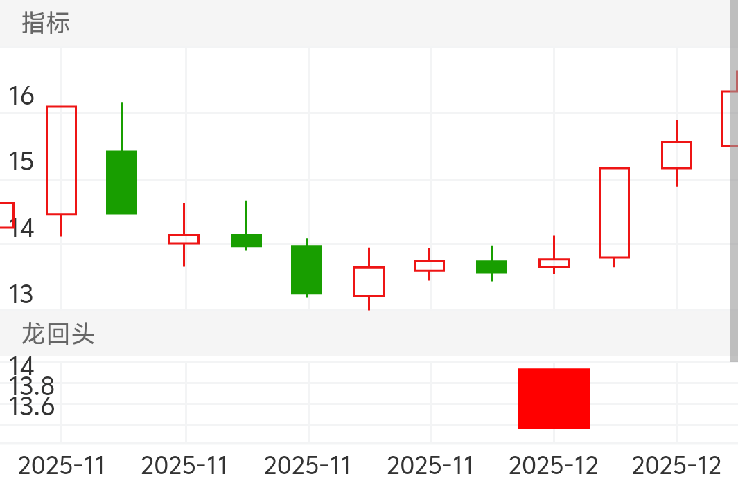 新宏泽 SZ002836 2025-11-19~2025-12-05